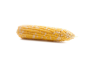 Sweet corn isolated on a white background..