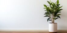 A Wooden Frame On A White Wall With A Plant In The Pot On The Side