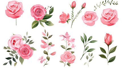 Wall Mural - Watercolor elements pink roses on a white background