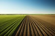This captivating image showcases an expansive field under a clear blue sky, revealing a stark contrast between lush greenery on one half and drought-stricken crops on the other