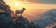 a sheep stands on a mountain top in the background against the sunset
