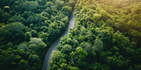 aerial view of windy drive on the forest green road