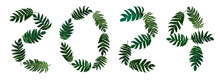 2024 Write Numbers With Monstera Pinnatipartita (Siam Monstera) Large Green Leaves That Hollow Veins And Wet. On White Background, Isolated, Flat Lay, Font, Number, Alphabet, Letter, Year, Panorama.