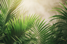 Palm Sunday concept: Green palm leaves on blurred background