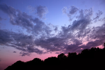 Wall Mural - Colorful sunset with night sky and trees silhouettes.
