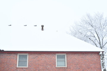 Wall Mural - Snow on the Roof of a Brick House