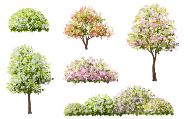 Vector watercolor blooming flower tree or forest side view isolated on white background for landscape and architecture drawing,elements for environment or and garden,shrub for section ,Set of floral,b