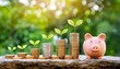 money coins stack growing graph and piggy bank nature background business concept