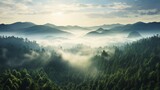 Fototapeta Las - Bird's-eye panorama revealing an expansive forest under the rising sun's warm glow, set against a light blue sky dotted with wispy clouds Generative AI