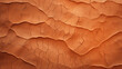 Texture of a dry and cracked terrain