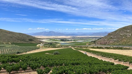 Wall Mural - Riebeek Valley, Cape Town, South Africa