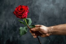 Close-up Of Male Hand Holding Red Rose On Dark Background.