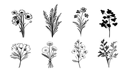 Vector plant set of botanical flowers and herbs. Ink drawings of plants for diy projects, greeting cards, wedding invitations. Isolated hand drawn floral sketch of botany doodle flowers for stationary