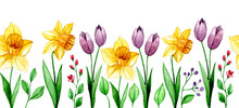 Seamless Border With Spring Flowers. Watercolor Frame Of Daffodils, Tulips, Cosmos, Leaves And Branches