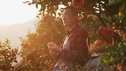 Poster - man eating orange