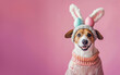 Easter cute dog in hat with bunny ears