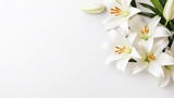 Fototapeta Tulipany - flowers white pastel lilies composition on a white background copy space template