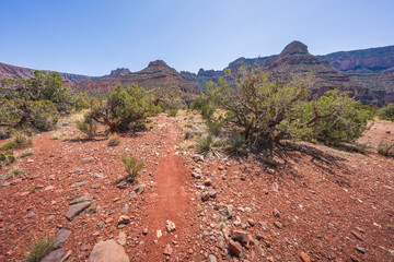 Wall Mural - hiking the grandview trail in the grand canyon national park, arizona, usa