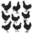 A black silhouette Chicken set, Clipart on a white Background, Simple and Clean design, simplistic