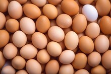 Eggs Background. Close Up Of Fresh Chicken Eggs. Top View. Top View Of Brown And White Eggs Background.