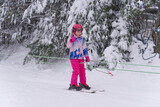 Fototapeta Lawenda - Dziewczynka na nartach