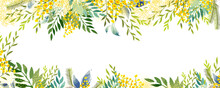 Horizontal Frame With Yellow Mimosa. Spring Wreath Of The Brightest Yellow Flowers. Hello Spring . Hand Drawing. Not AI,