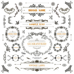 Wall Mural - set of vintage decorations flourishes elements.