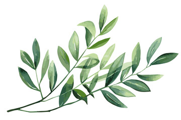 watercolor green branch with leaves. green leaves on transparent background, design element for invi