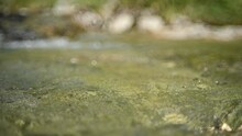 Bokeh of water from a mountain stream flowing in the evening (slow motion)