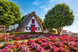 Fototapeta Nowy Jork - Traditional Houses on Madeira during a Sunny Day