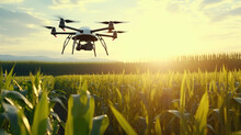 a drone flying over a field of corn