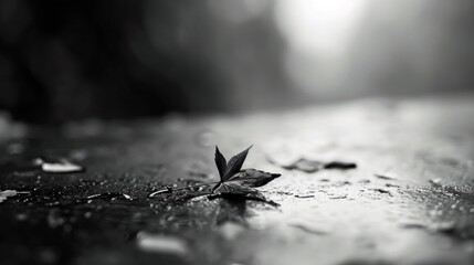 Poster - A leaf is sitting on the ground in a puddle, AI