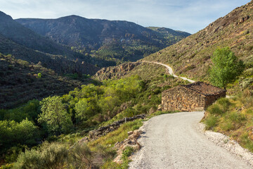 Canvas Print - View of the Mondego river valley in Serra da Estrela, Portugal, next to the old factory on the Mondego walkway route, with a dirt road running along the valley.