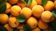many fresh apricots, flat lay, top view.
