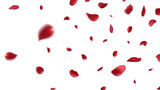 Fototapeta  - Valentine's day Vector red symbols of love border for romantic banner or Red rose petals will fall on abstract floral background with gorgeous rose greeting card design. on transparent background