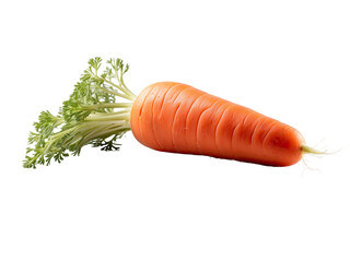 Wall Mural - Carrot Isolated On A Transparent Background