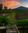 © Prasojo - rice fields or plantations in the countryside