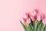 Fototapeta Tulipany - Beautiful Pink Tulips Blooming on Soft Background