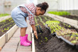 © Quality Stock Arts - African black child playing planting the green tree gardening in agriculture farm. Children love nature concept.