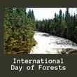 Composite of international day of forests text and scenic view of river flowing amidst lush trees
