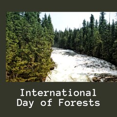 Wall Mural - Composite of international day of forests text and scenic view of river flowing amidst lush trees