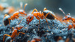 An image of a tiny ant colony transporting various crumbs to their anthill.