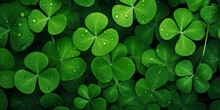 Good Luck Symbol Close Up Of Green Four-leaf Clover With Dew Drops Background. 