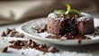  a white plate topped with a chocolate cake covered in powdered sugar and a sprout of green leaf.