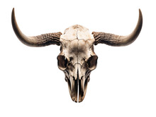 A Skull With Horns On A White Background