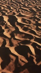Wall Mural - aerial top view on sand dunes in sahara desert, africa. vertical video