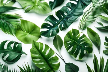 Creative layout made of colorful tropical leaves on white background. Minimal summer exotic. Border arrangement