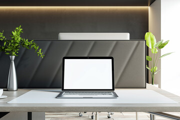Poster - Sleek laptop setup with plant decor on modern office desk, productive ambiance. 3D Rendering