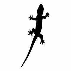 Wall Mural - silhouette of a black lizard crawling