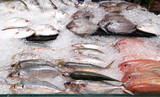 Fototapeta  - Variety of Fresh fish on ice at the Seafood market